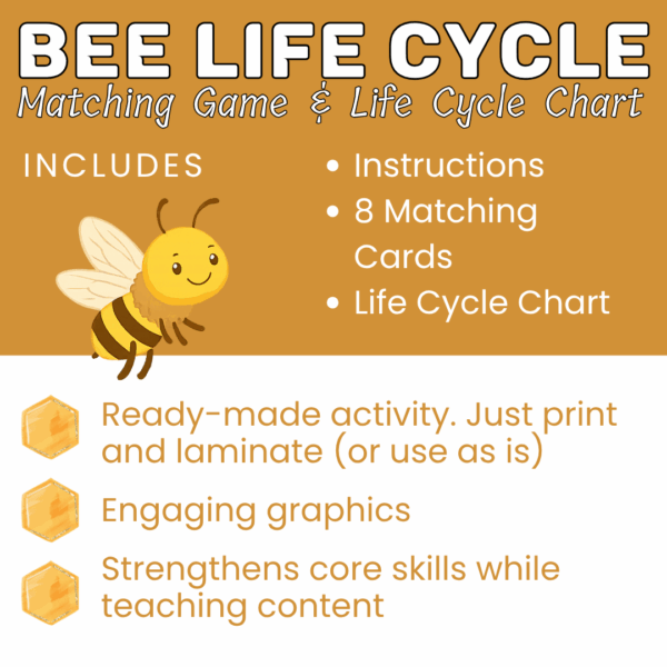 Bee Life Cycle - Image 2