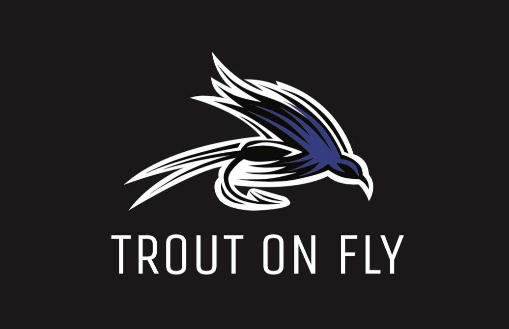 Fly Logo Black