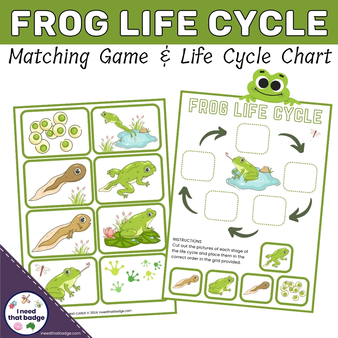 Frog Life Cycle INTB
