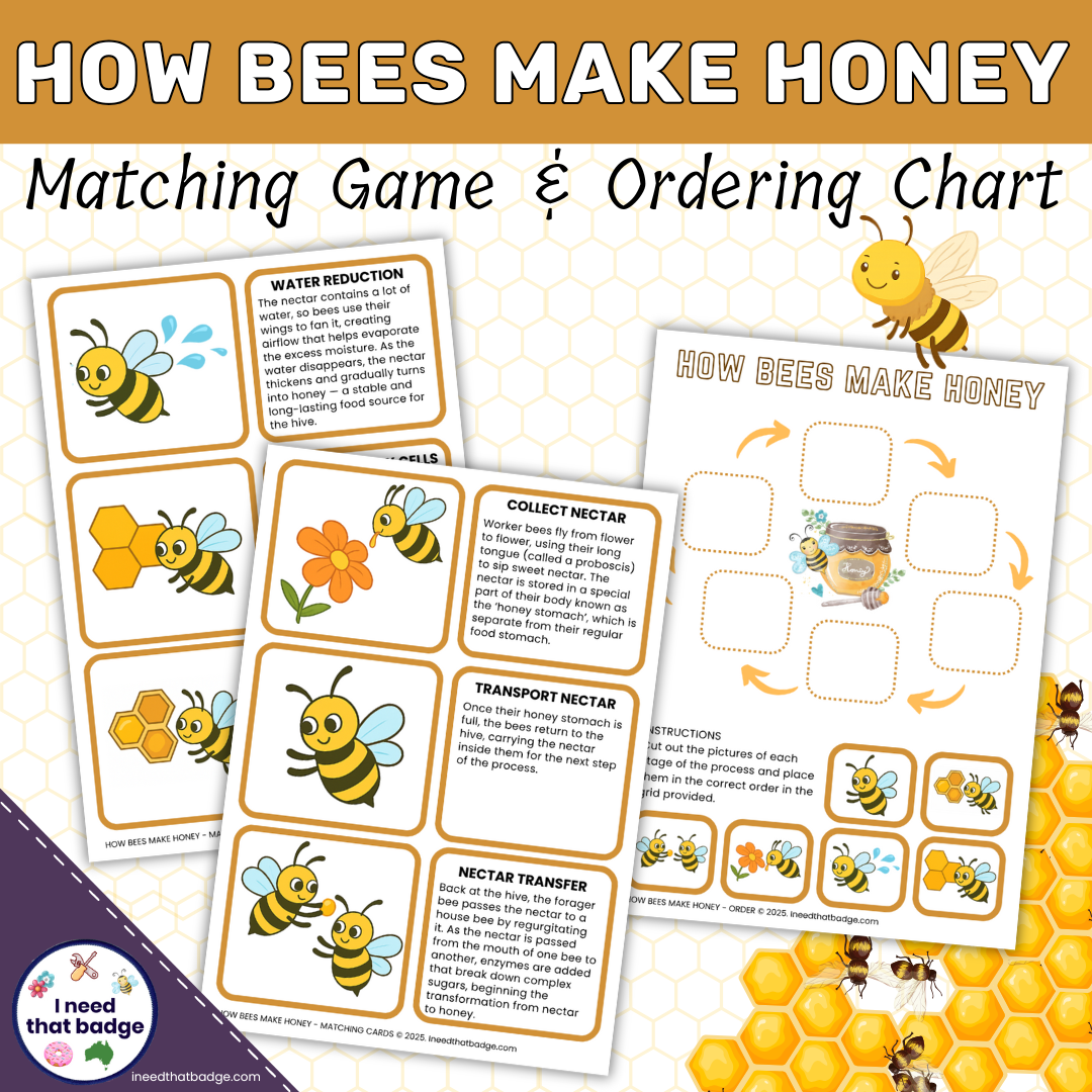 How Bees Make Honey INTB
