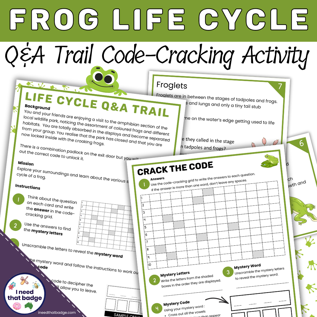 Life Cycle Q&A Cover INTB