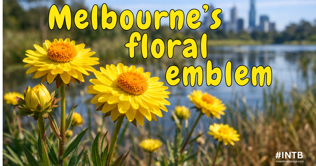 Melbournes Floral Emblem Swamp Everlasting INTB 2026