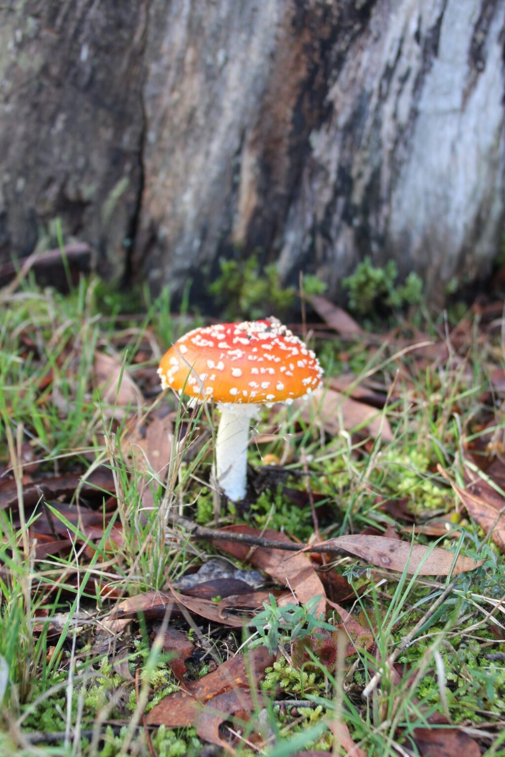 Nature Day 2023 18 Scaled