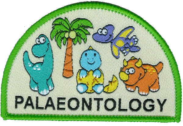 Palaeontology Woven