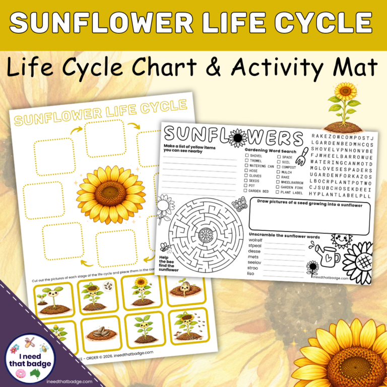 Sunflower Life Cycle Chart - INTB