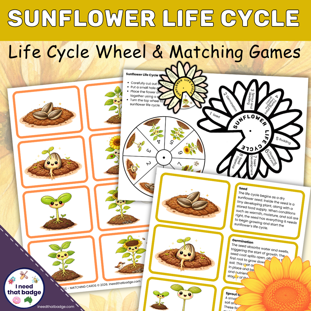Sunflower Life Cycle Wheel - INTB