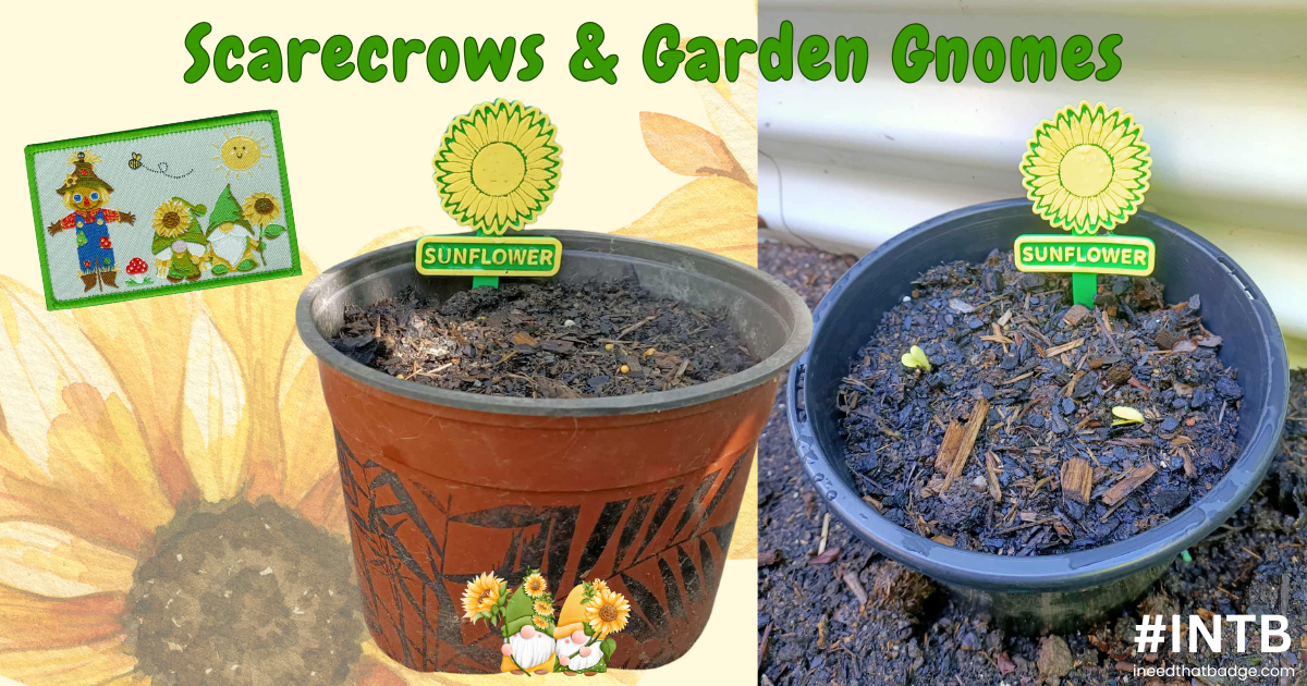 Sunflower For Scarecrows & Garden Gnomes 2 INTB 2025 (1)