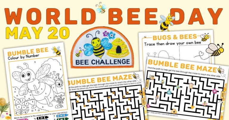 World Bee Day Resources