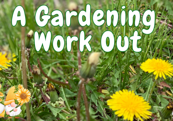 Gardening Workout INTB 2026