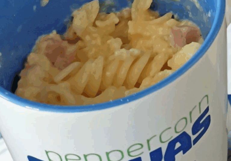 Pasta Mug Recipe (1)