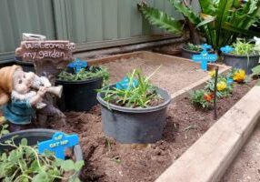 Poo Patch Outdoor Litter Box INTB (2)